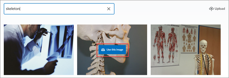 The Change Image pop-up with the term "skeleton" searched and a red box around the "Use this image" button on an associated image