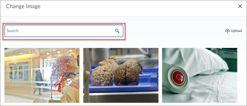 The Change Image pop-up window, with a red box around the search box.