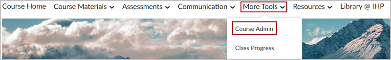 The More Tools dropdown menu with a red box around the "Course Admin" option