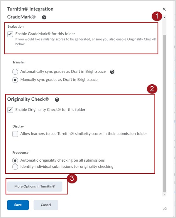 Labeled screenshot of the Turnitin Integration pop-up window with the following features called out: 1. Grademark, 2. Originality Check, 3. a button labeled "More Options in Turnitin"
