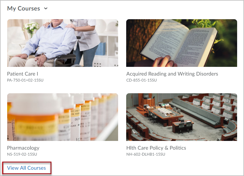 My Courses widget displaying 4 courses in a two-by-two grid, with a red box around the "View All Courses" link
