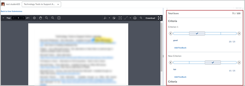 Grading interface for a submitted assignment in D2L Brightspace. The left side of the page shows the document, blurred in this image. The right side shows an expanded rubric with the ability for the instructor to rate two criteria across four levels.