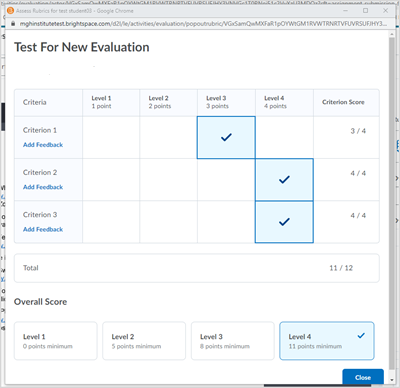 Rubric titled "Test for New Evaluation" opened in a new window. The rubric has three criteria and four levels. The rubric has a score of 11 out of 12 and is "Level 4" for the Overall Score.