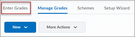 The Grades tool in D2L Brightspace with a red box around the "Enter Grades" tab