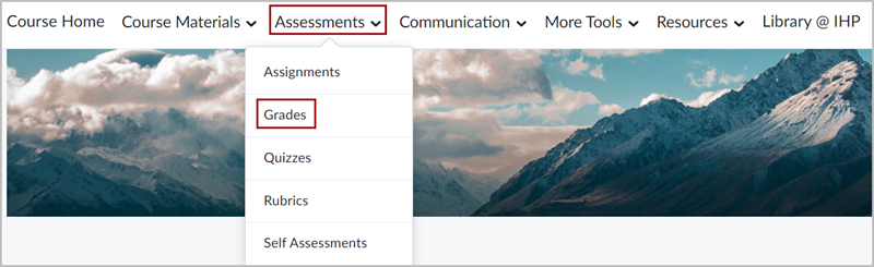D2L Brightspace Navbar with the "Assessments" dropdown menu expanded out. There is a red box around the "Grades" option in the dropdown menu. 