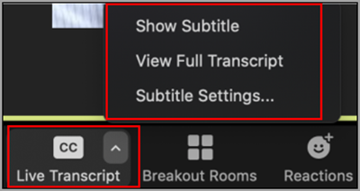 Portion of the bottom toolbar in a Zoom meeting with a red box around the "Live Transcript" option and an expanded menu with options for "Show Subtitle", "View Full Transcript", and "Subtitle Settings"