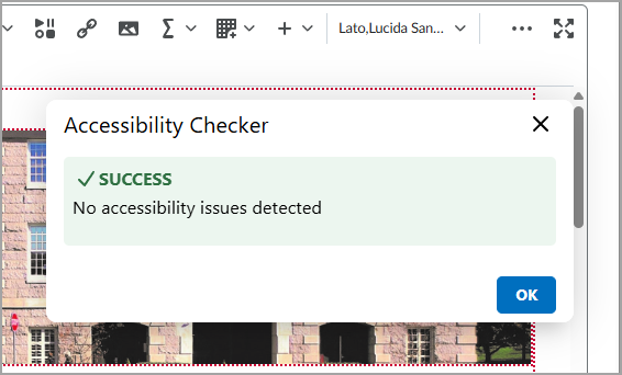 The accessibility checker labeled "SUCCESS No accessibility issues detected"