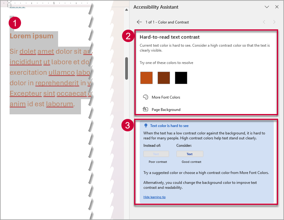 Accessibility Assistant panel with the elements labeled with red boxes and numbers.