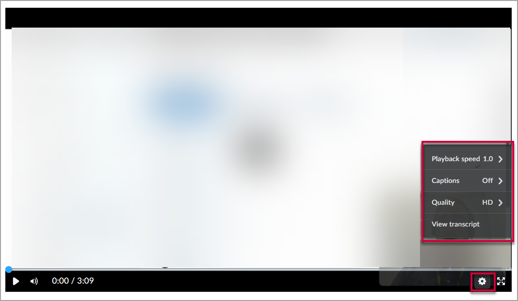 Blurred video with the options menu expanded in the bottom right corner to show where to find Caption and View transcript
